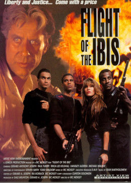 無(wú)敵雄鷹（普通話(huà)版)(全集)