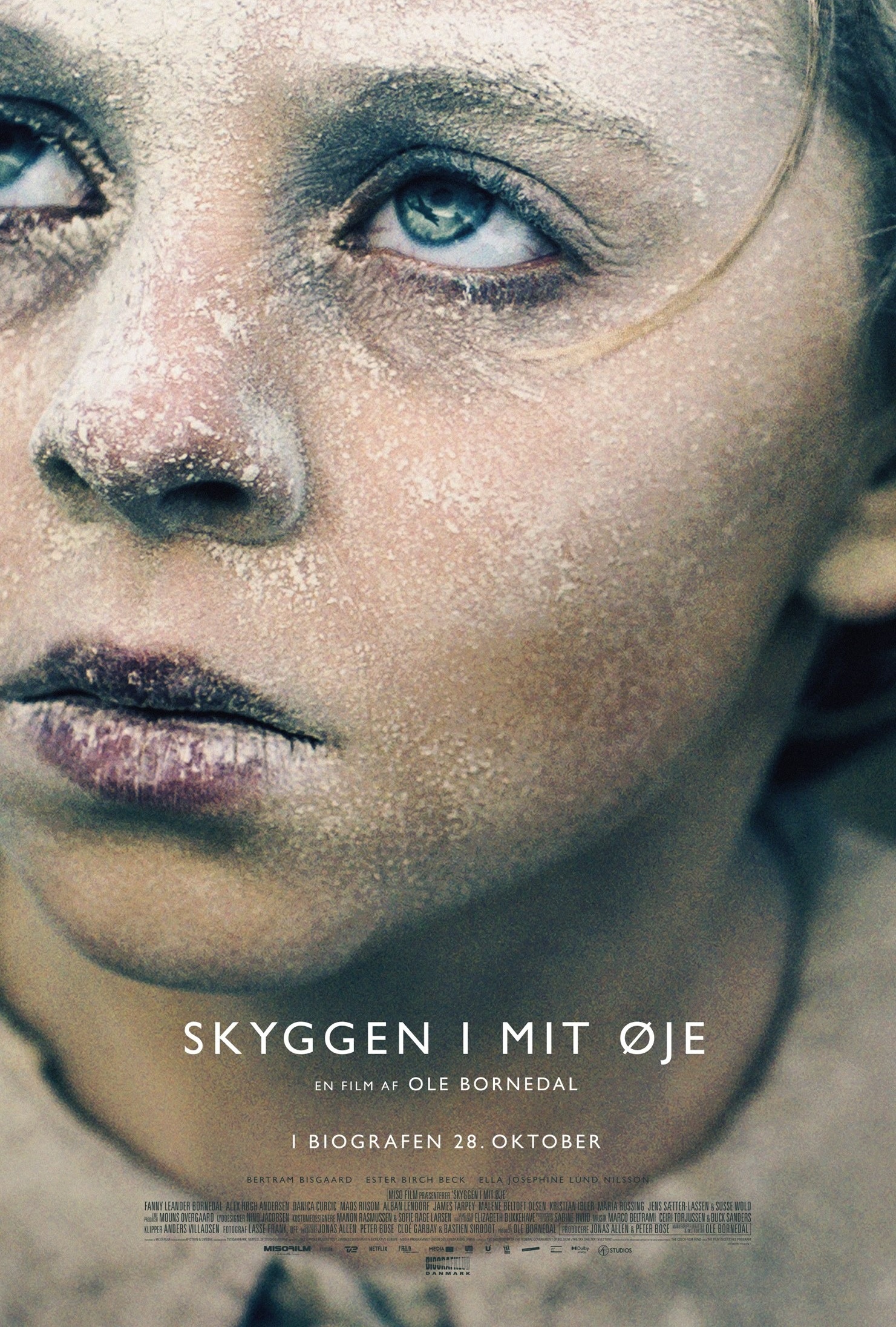 眼簾下的戰影(全集)