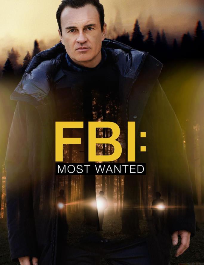 聯(lián)邦調查局：通緝要犯第四季(全集)