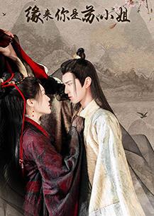 緣來(lái)你是蘇小姐(全集)