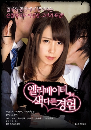 電梯另類(lèi)性體驗