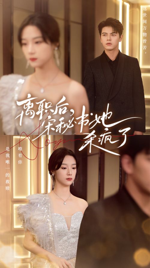 離職后，宋秘書(shū)她殺瘋了(全集)