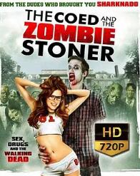 校內僵尸聯(lián)誼會(huì )