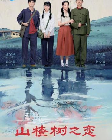 山楂樹(shù)之戀2025