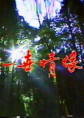 一世情緣(全集)