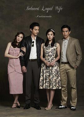 愛(ài)妻普通話(huà)版(全集)