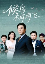 候鳥(niǎo)不再南飛(全集)