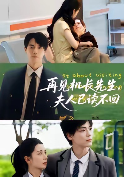 再見(jiàn)機長(cháng)先生夫人已讀不回(全集)