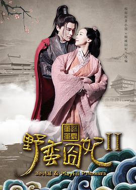 野蠻囧妃2:迷霧重重